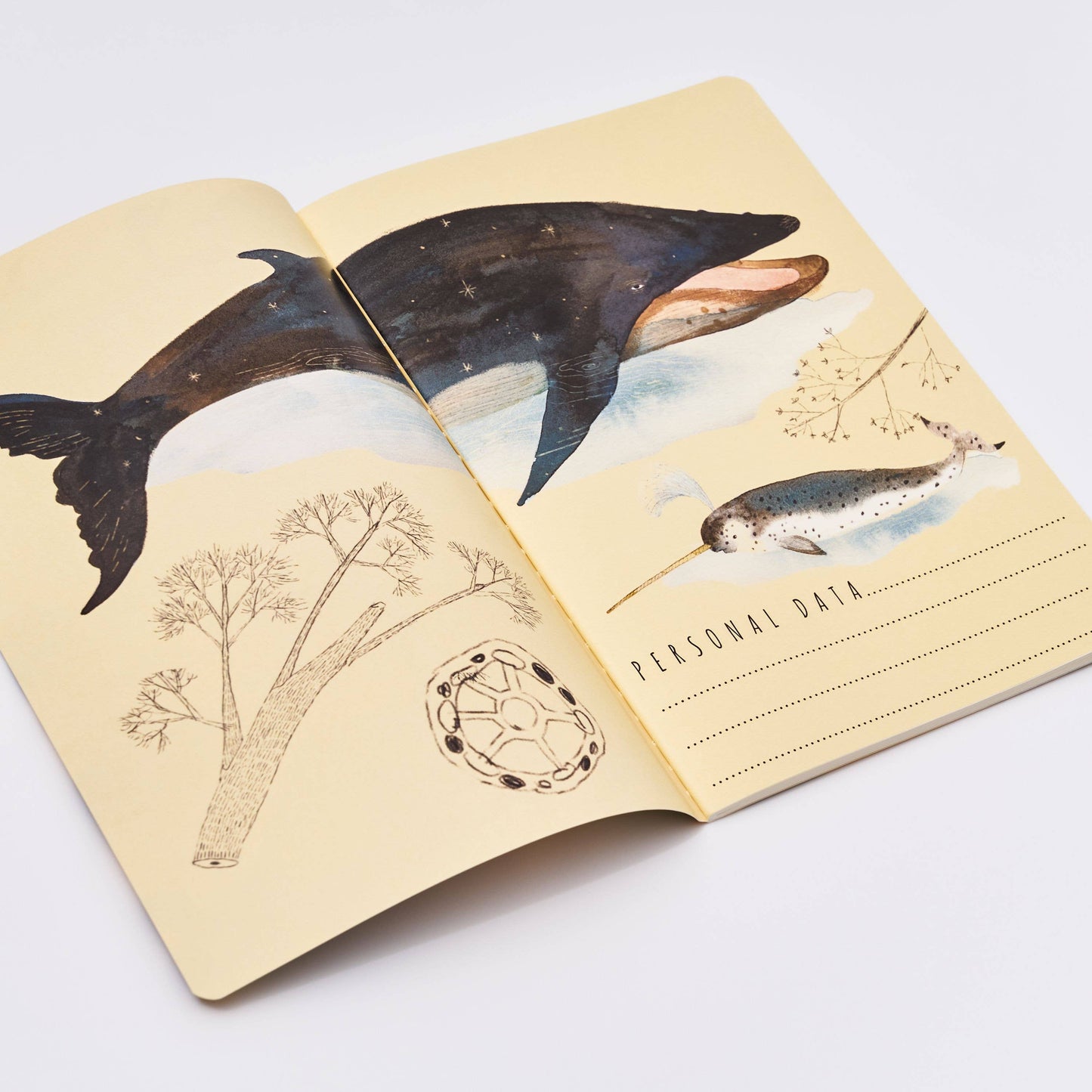 Whales