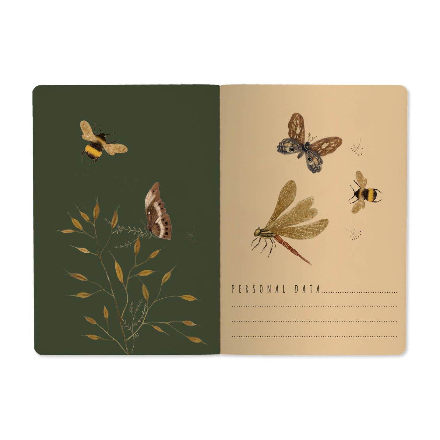 Butterflies + Friends