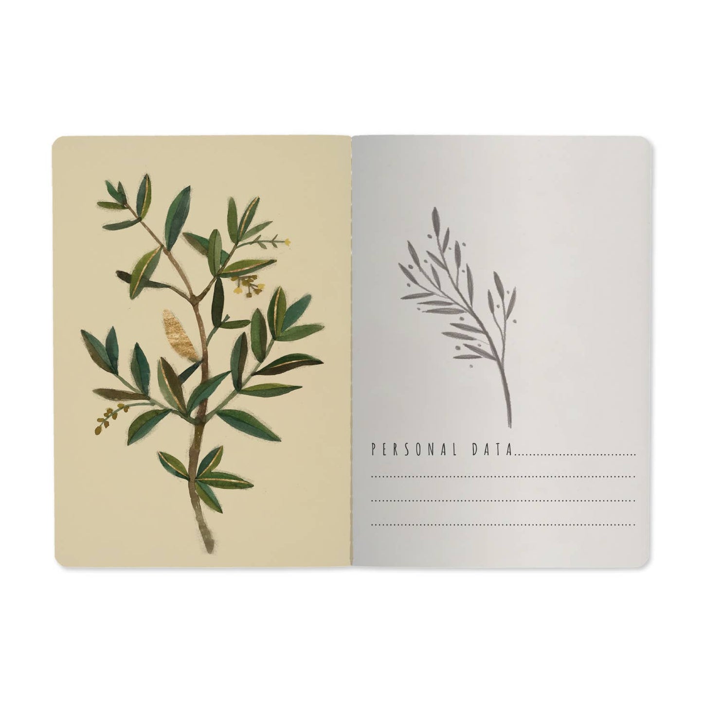 Olive