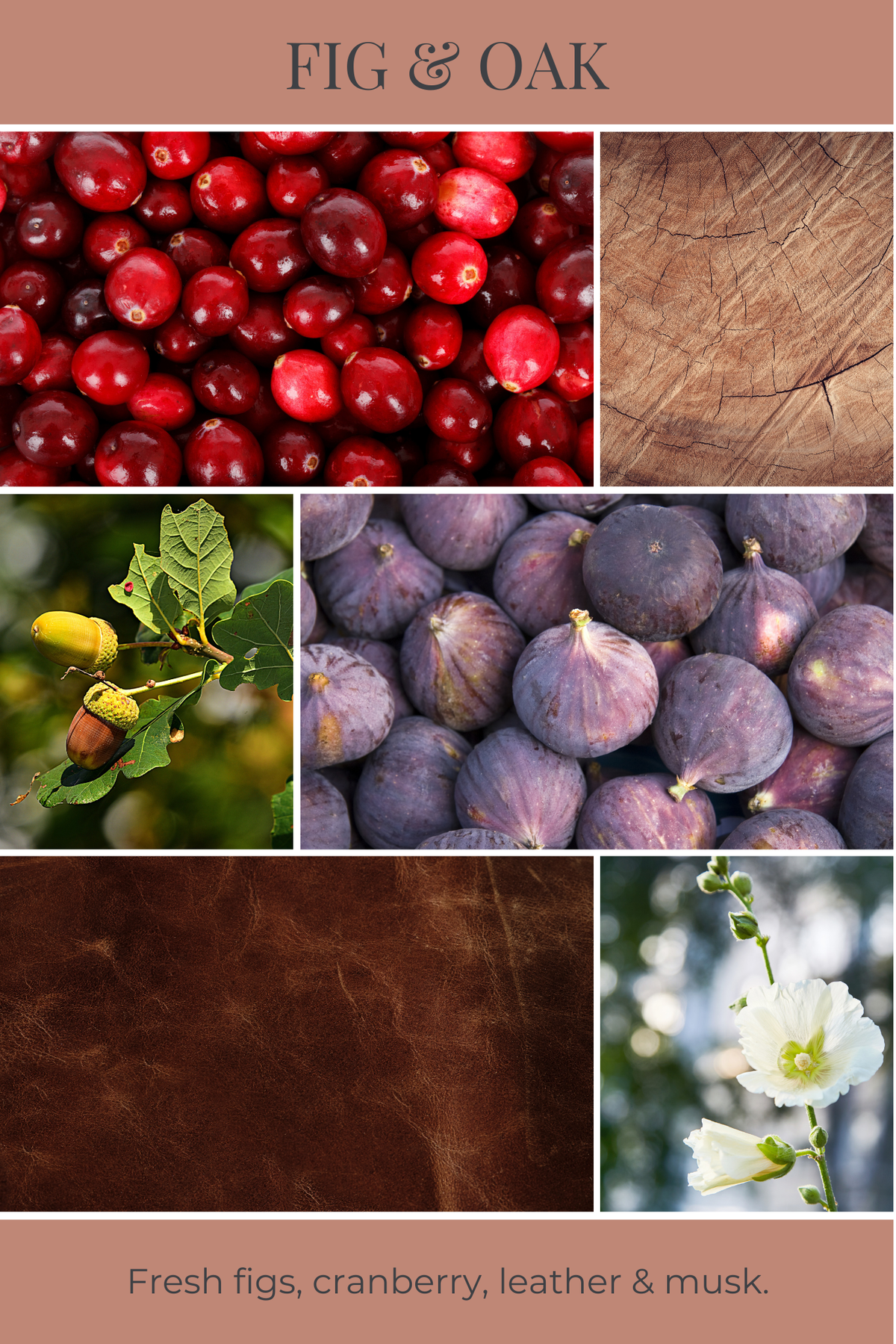 Fig & Oak Reed Diffuser