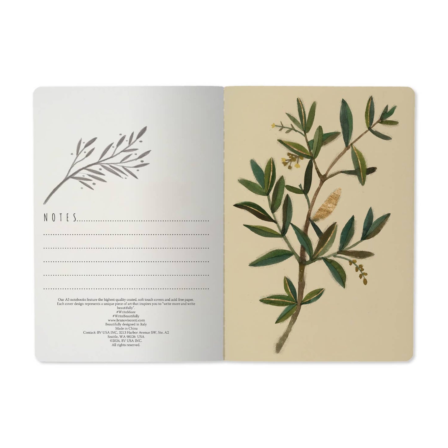 Olive