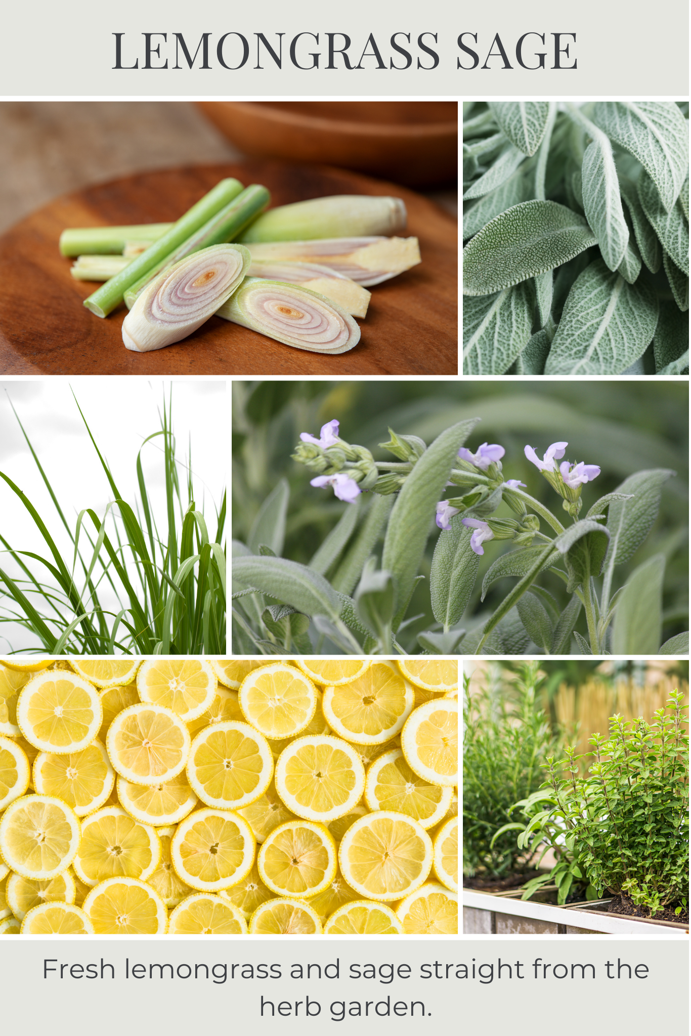 Lemongrass Sage Reed Diffuser