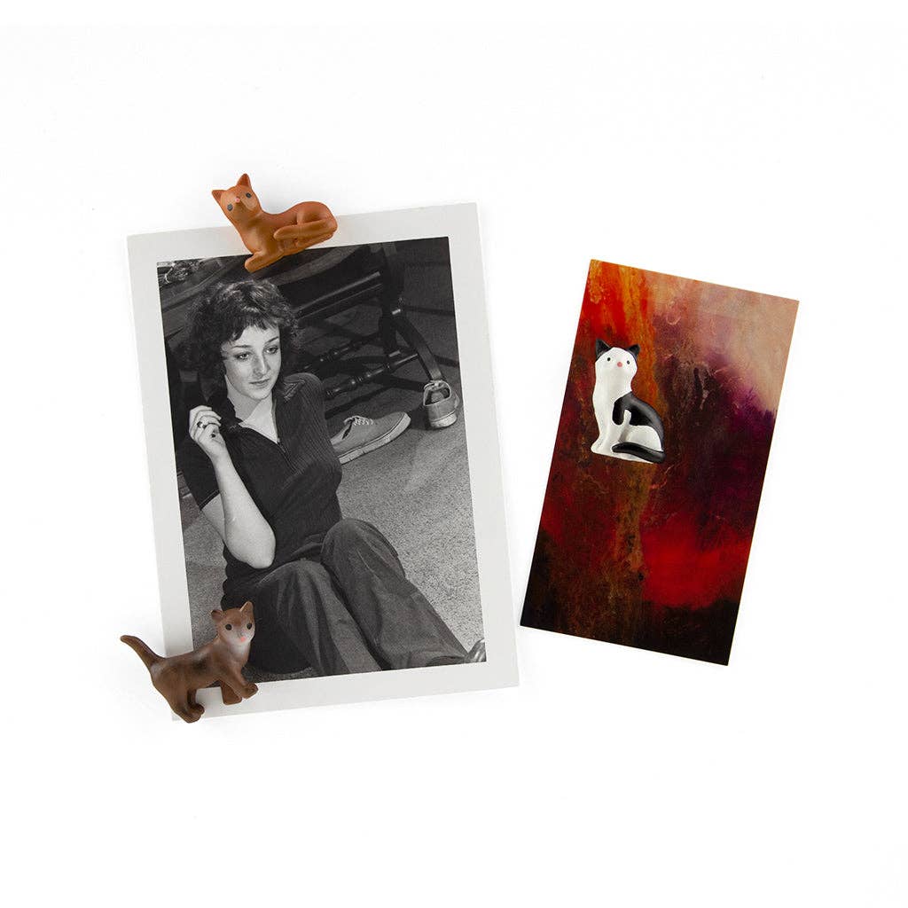 Cat Magnet Set