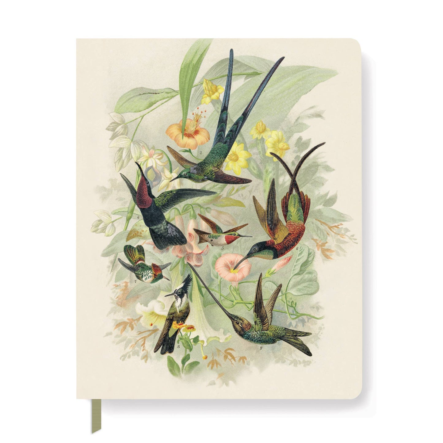 Hummingbirds Paperback Journal