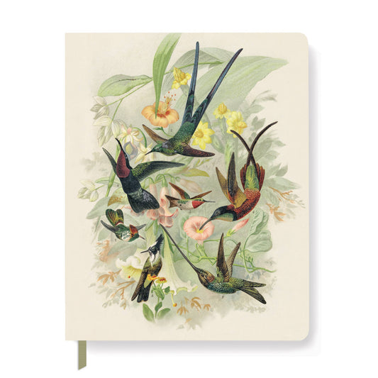 Hummingbirds Paperback Journal