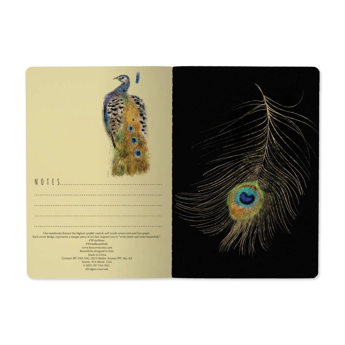 Magic Peacock Notebook