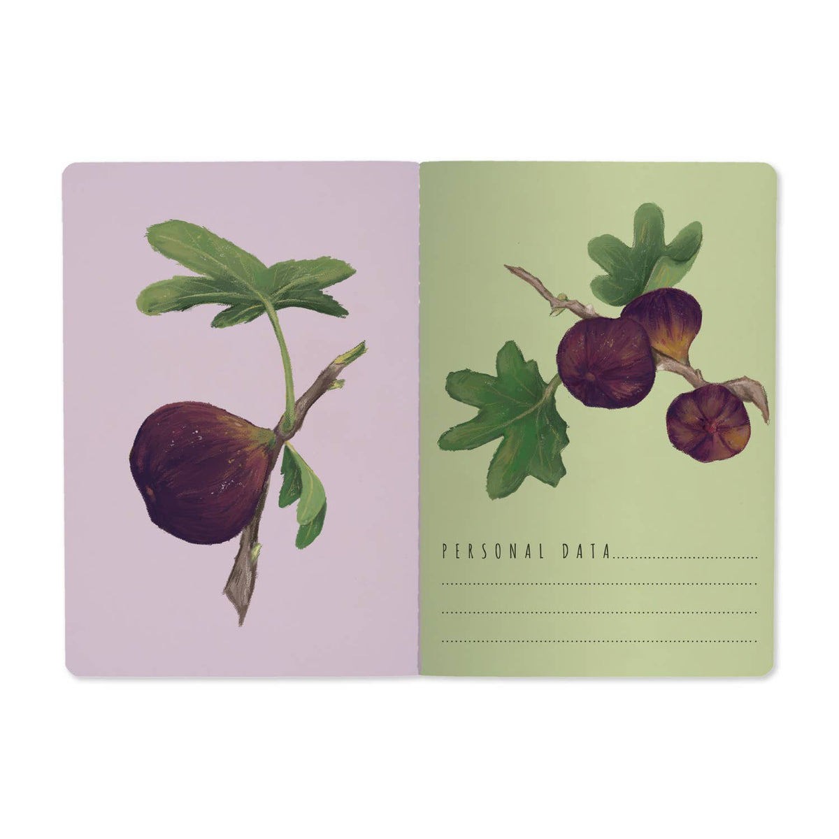 Figs on White Notebook