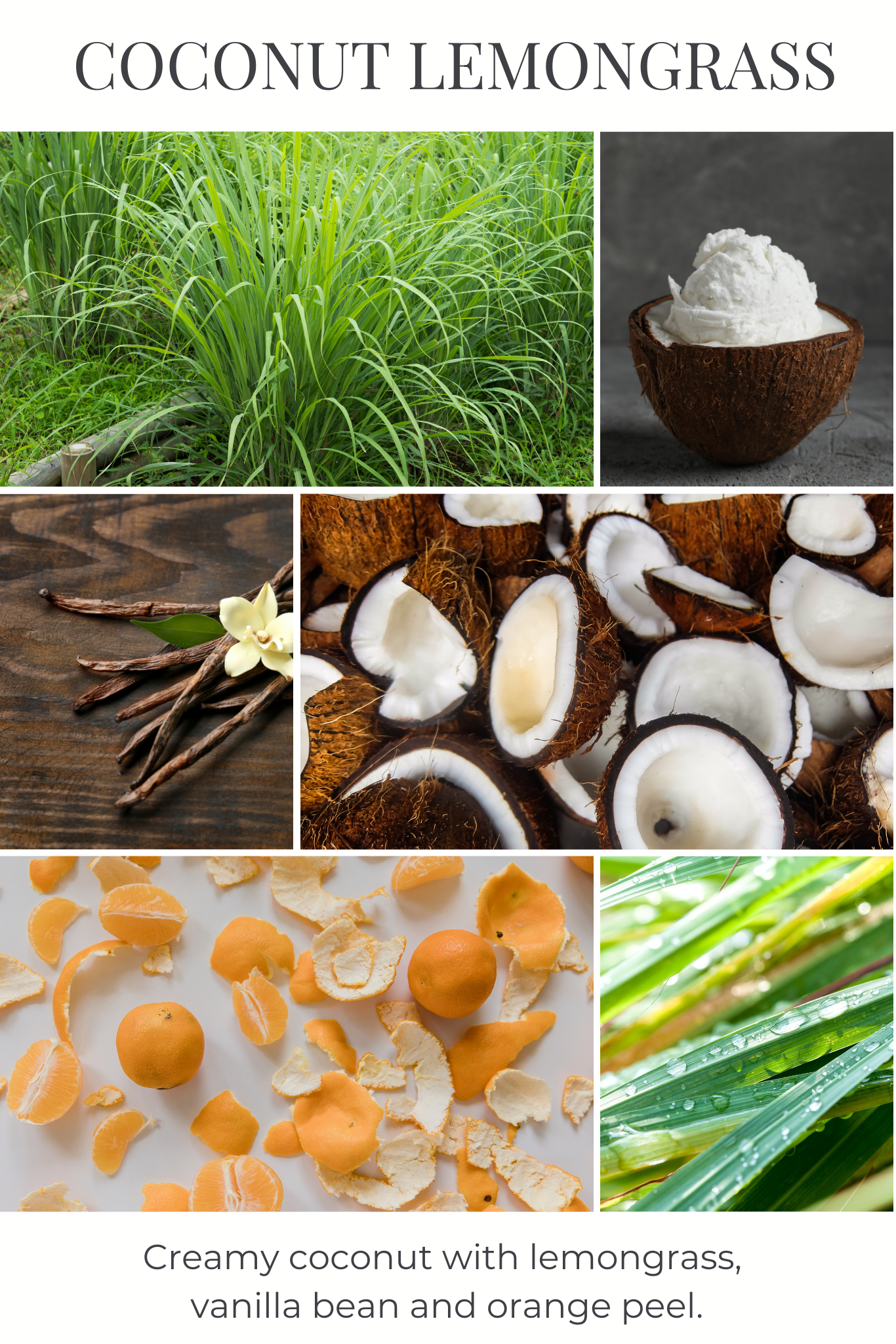 Coconut Lemongrass Reed Diffuser