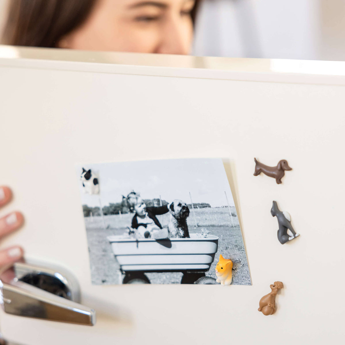 Dog Magnet Set