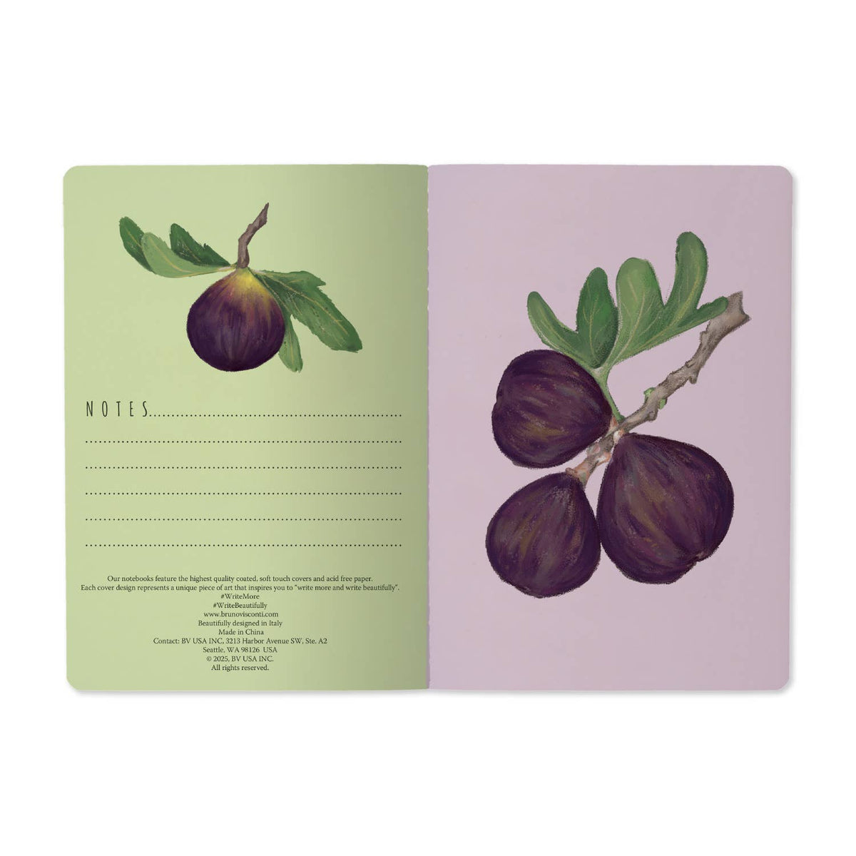 Figs on White Notebook