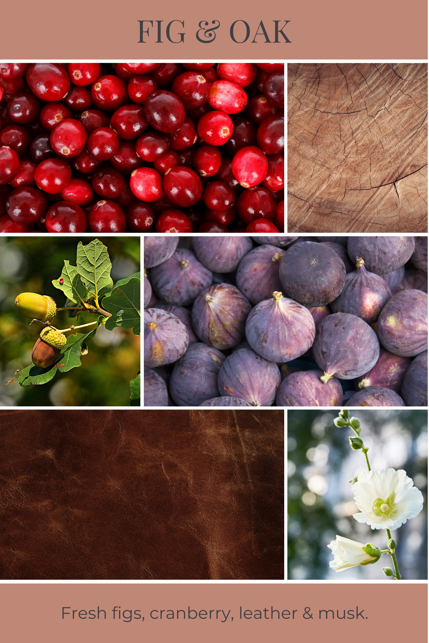 Fig & Oak Reed Diffuser